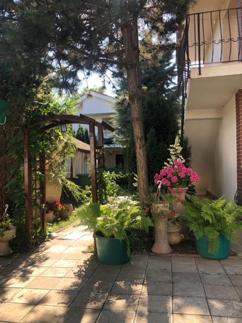 Suzana Garden Hotel Venus Exterior photo
